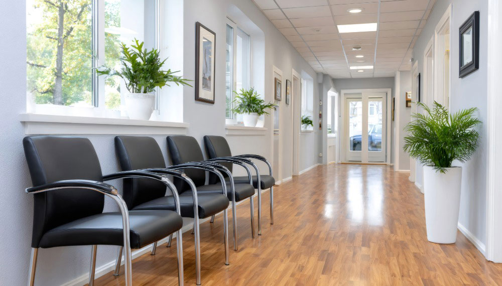 The Dentist HQ - Dental News and Resources